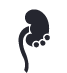 Cáncer Renal