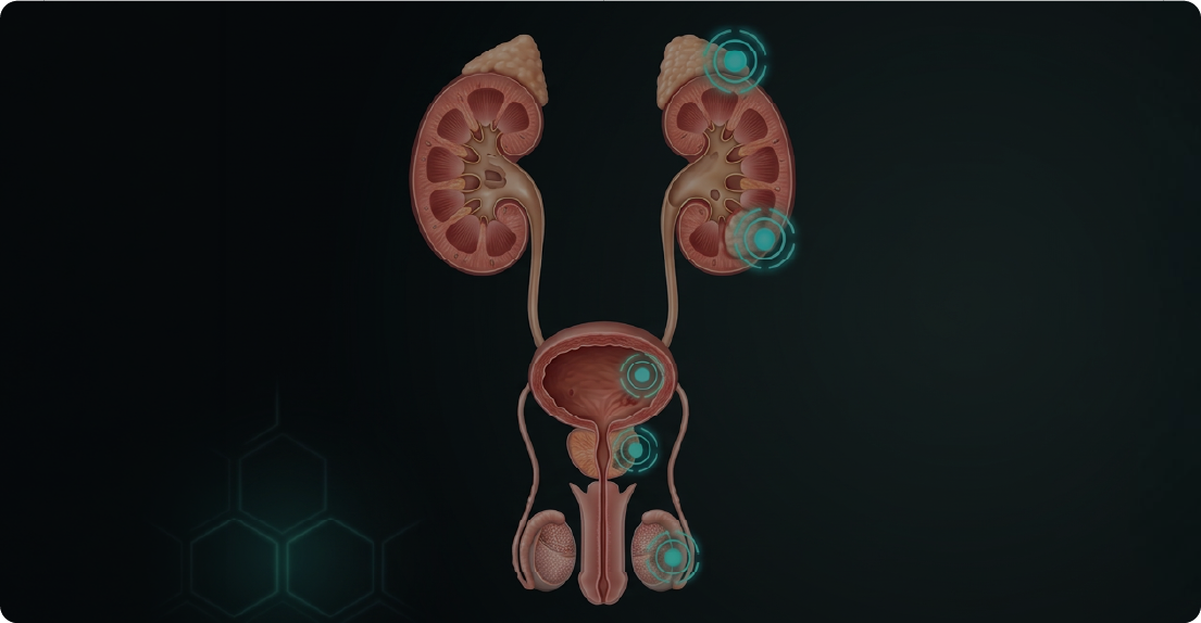 Uro-Oncología Quirúrgica y Cirugía Reconstructiva de Mínima Invasión